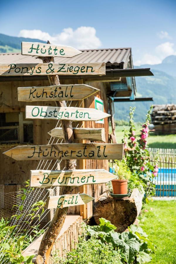 Martlerhof Apartment Aschau Im Zillertal Екстериор снимка