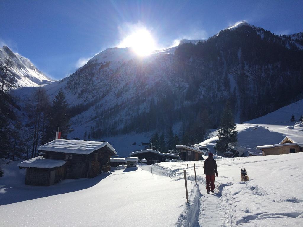 Martlerhof Apartment Aschau Im Zillertal Екстериор снимка