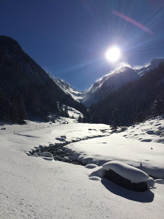 Martlerhof Apartment Aschau Im Zillertal Екстериор снимка