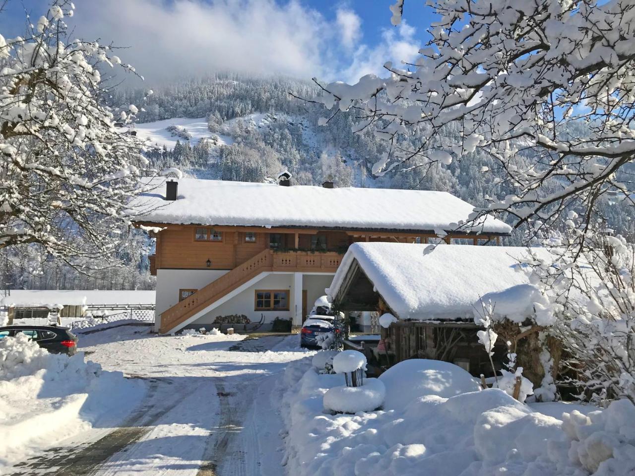 Martlerhof Apartment Aschau Im Zillertal Екстериор снимка